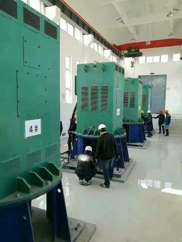 宁安某污水处理厂使用我厂的立式高压电机安装现场